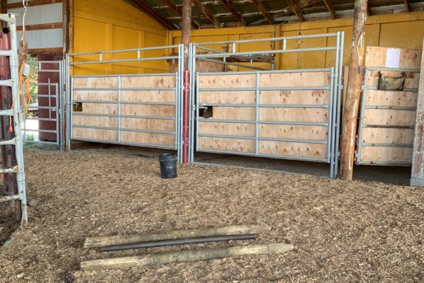 Large animal pens